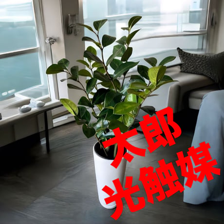 光触媒　人工観葉植物　ウォールグリーン　フェイクグリーン　ザミフォリアH