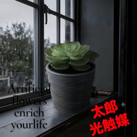 光触媒　人工観葉植物　ウォールグリーン　フェイクグリーン　エケベリア