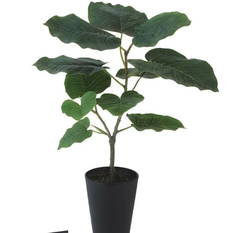 光触媒　人工観葉植物　ウォールグリーン　フェイクグリーン　ＨＱウンベラータルーツ@@