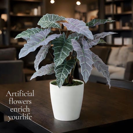 光触媒　人工観葉植物　ウォールグリーン　フェイクグリーン　２色アローカシア 50