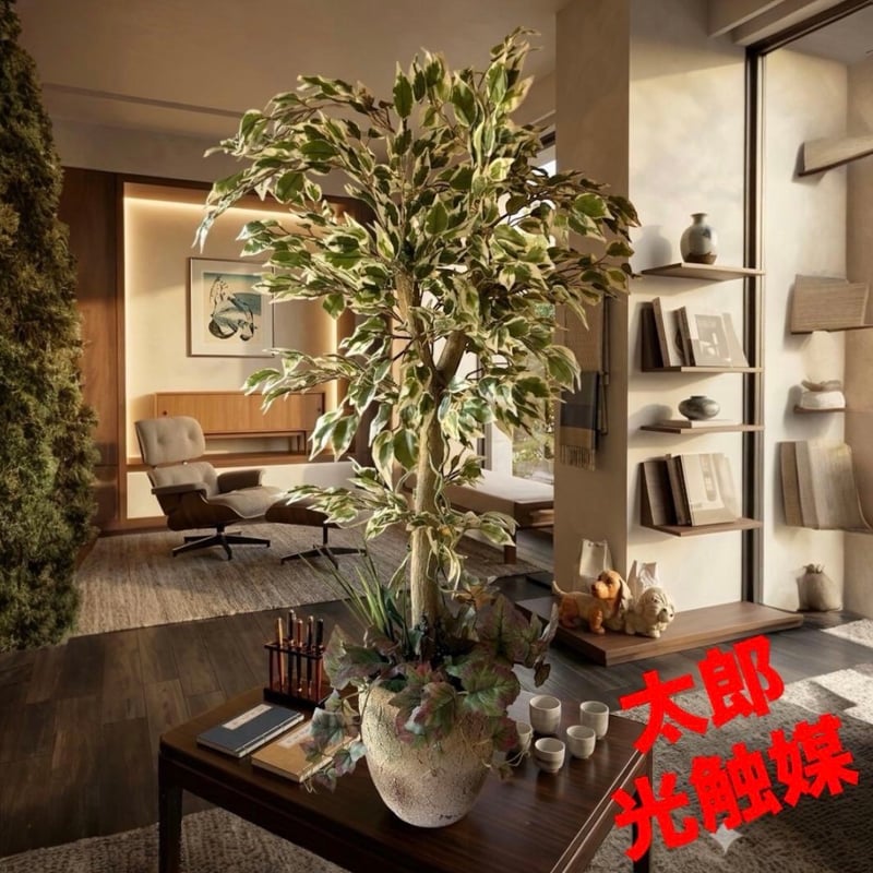 太郎's STORE 太郎's STORE