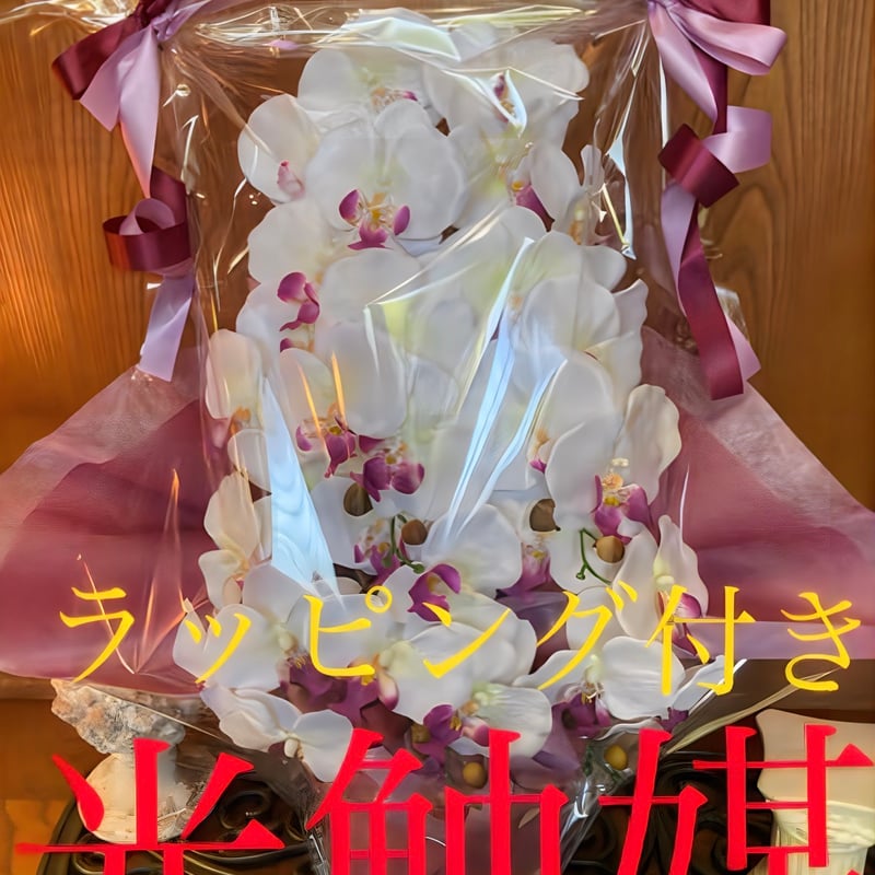 光触媒 人工観葉植物 ウォールグリーン フェイクグリーン 胡蝶蘭6134