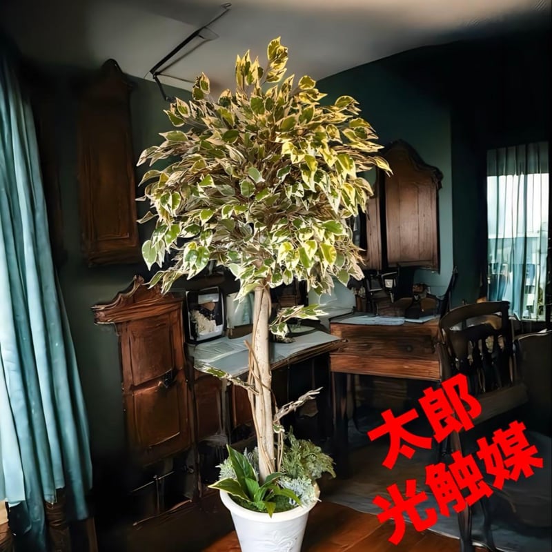 太郎's STORE 太郎's STORE