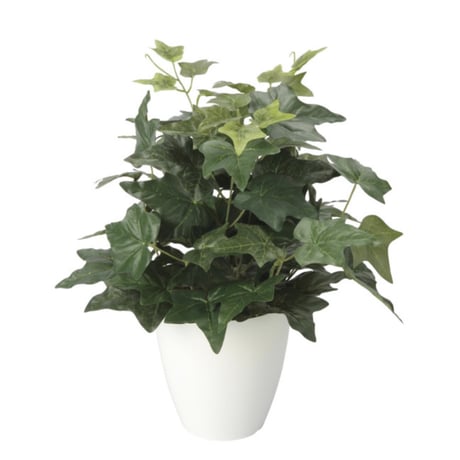 光触媒　人工観葉植物　ウォールグリーン　フェイクグリーン　アイビーm