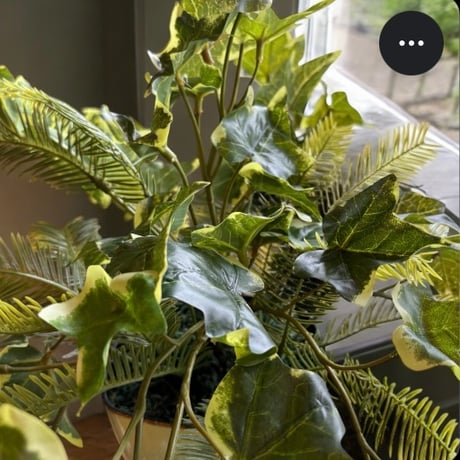 光触媒　人工観葉植物　ウォールグリーン　フェイクグリーン　ポーランドアイビーＡＬ