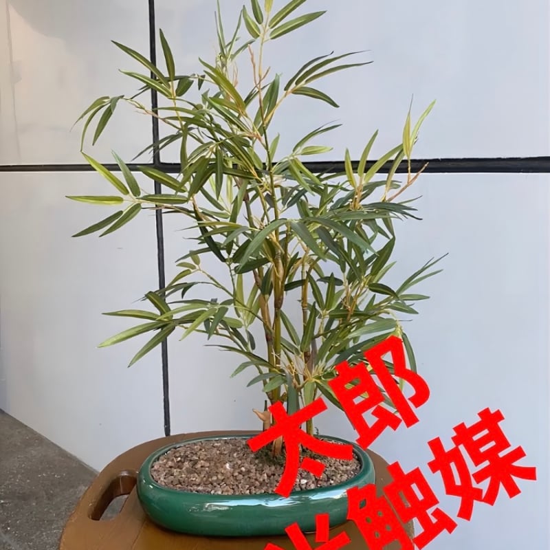 光触媒 人工観葉植物 ウォールグリーン フェイクグリーン