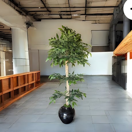 光触媒　人工観葉植物　ウォールグリーン　フェイクグリーン　イタリアンベンジャミン13055