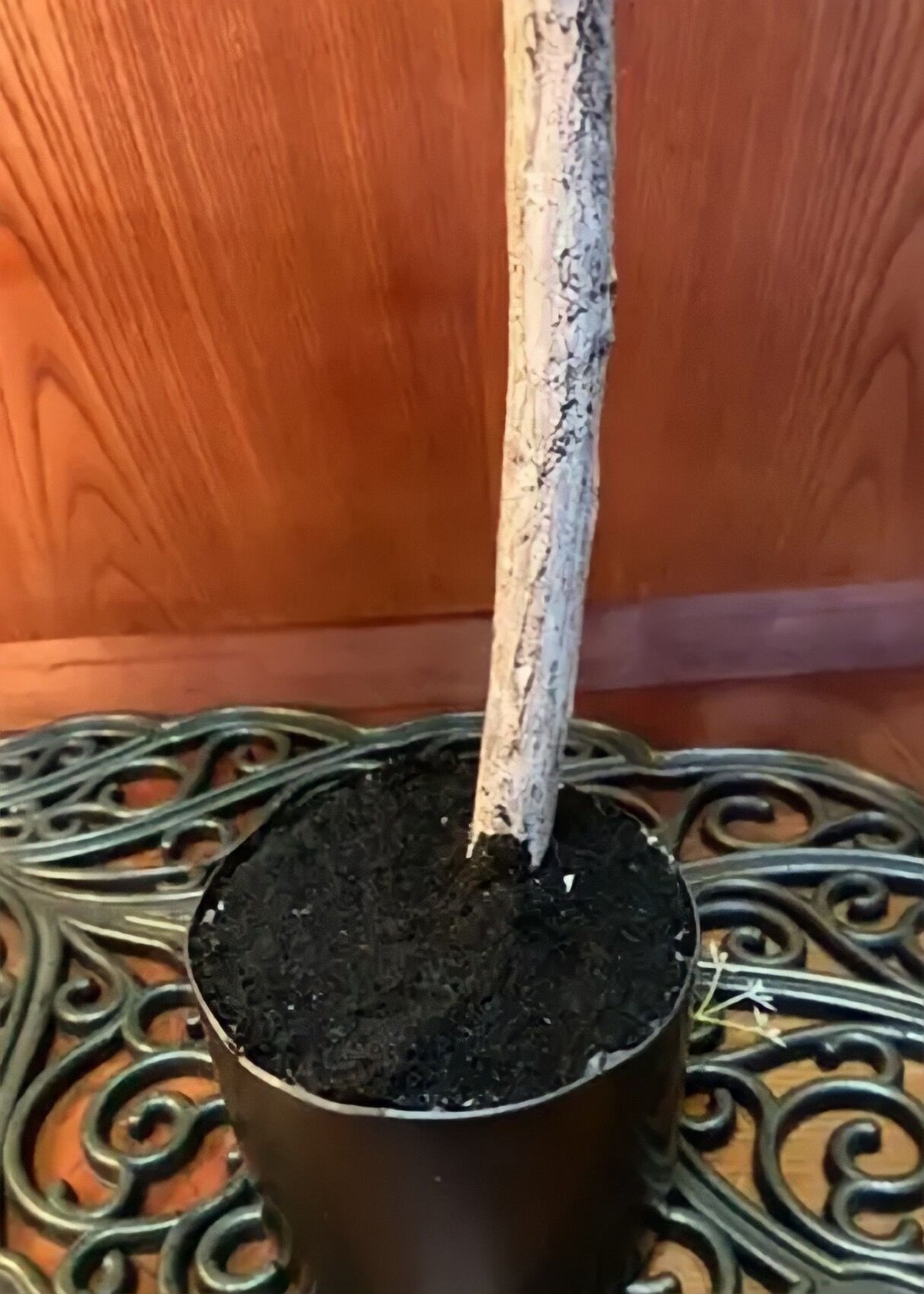 光触媒 人工観葉植物 ウォールグリーン フェイク フラワー バンヤン