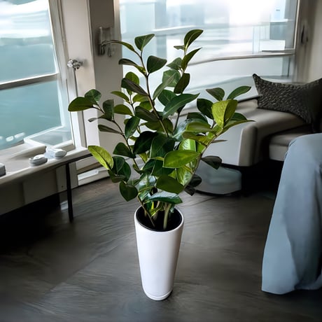 光触媒　人工観葉植物　ウォールグリーン　フェイクグリーン　ザミフォリアH