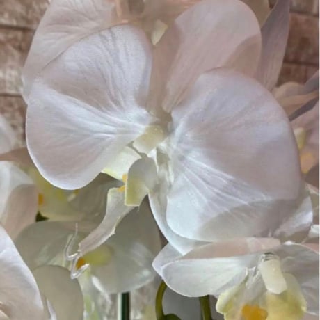 光触媒　人工観葉植物　ウォールグリーン　フェイクグリーン　胡蝶蘭7035aj
