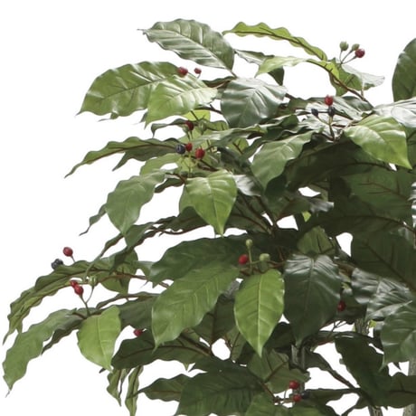 光触媒　人工観葉植物　ウォールグリーン　フェイクグリーン　コーヒーツリー180