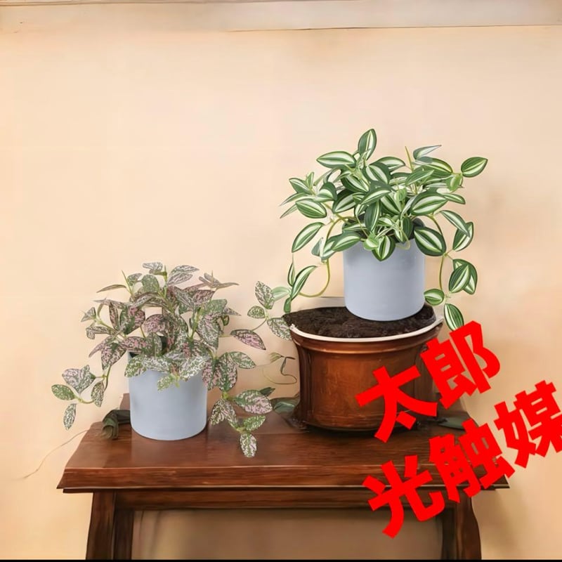 光触媒　人工観葉植物　ウォールグリーン　フェイクグリーン　アガベ65 太郎's STORE