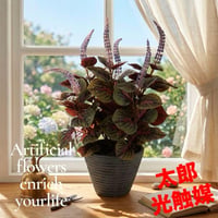 光触媒　人工観葉植物　ウォールグリーン　フェイクグリーン　コリウス45