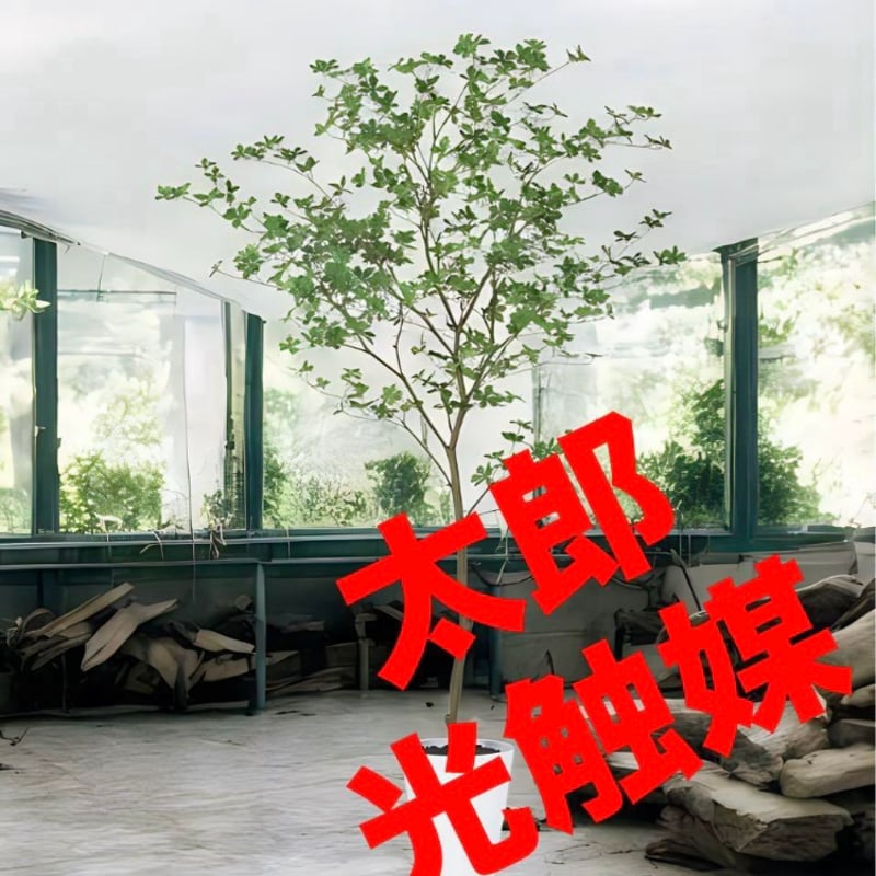 光触媒　人工観葉植物　ウ　フェイクグリーン　ドウダンツツジ200FST 光触媒 人工観葉植物 ウォールグリーン フェイクグリーン