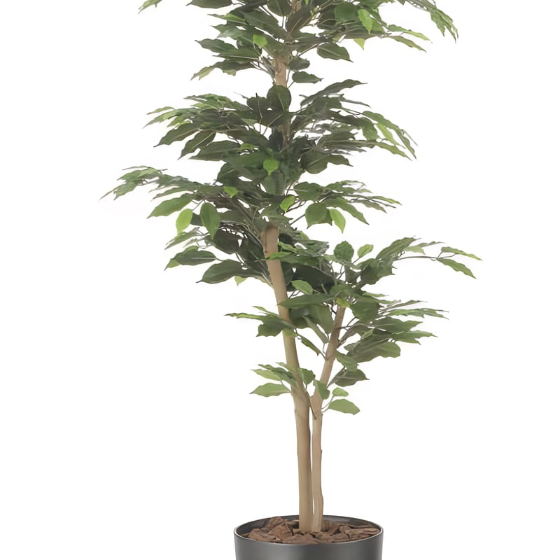 光触媒　人工観葉植物　フェイクグリーン　インテリアベンジャミン1.6 光触媒 人工観葉植物 フェイクグリーン インテリアベンジャミン1.6