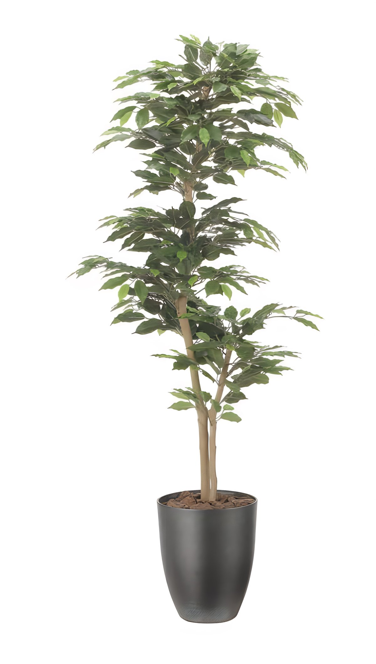 光触媒 人工観葉植物 フェイクグリーン インテリアベンジャミン1.6