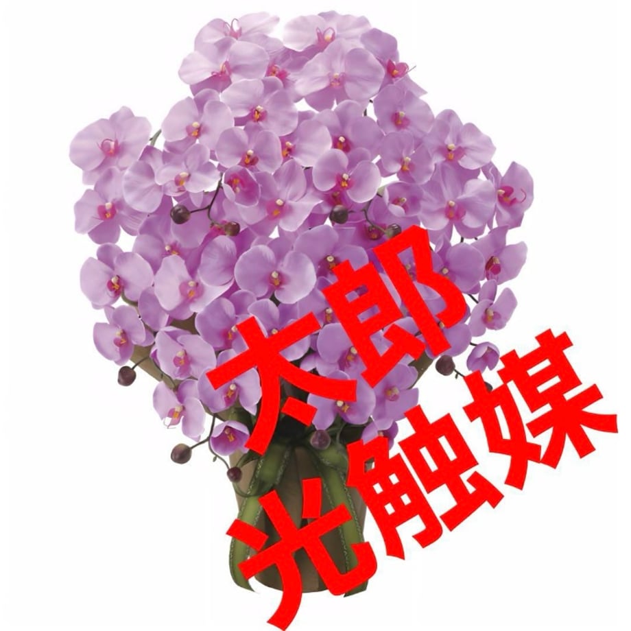 677cbb0a6396ba0769ecff8b