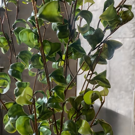 光触媒　人工観葉植物　ウォールグリーン　フェイクグリーン　オリーブとバロック58