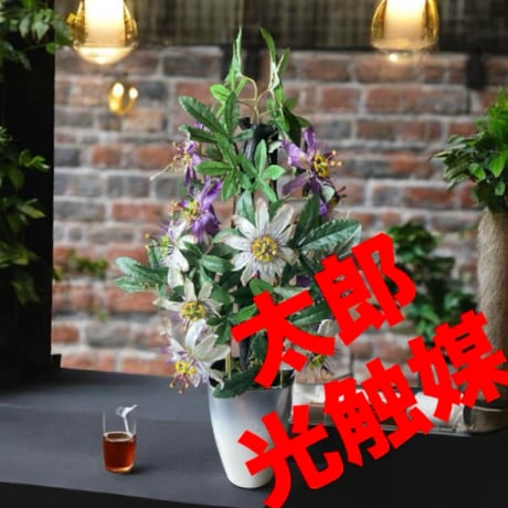 光触媒　人工観葉植物　ウォールグリーン　フェイクグリーン　時計草6838