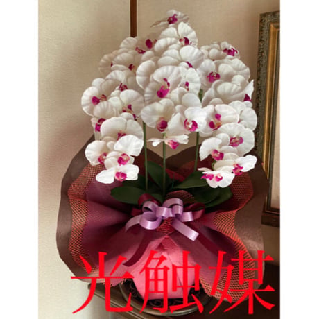 光触媒　人工観葉植物　ウォールグリーン　フェイクグリーン　胡蝶蘭8045