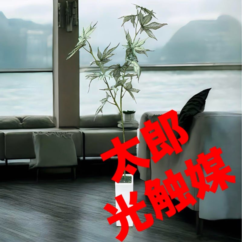 光触媒 人工観葉植物 ウォールグリーン フェイクグリーン ケナフ
