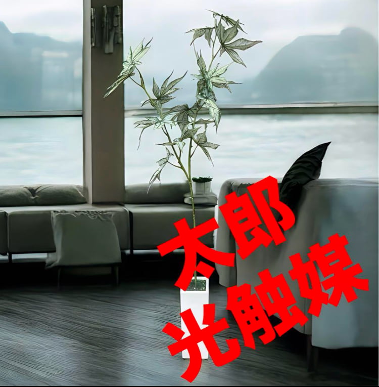 光触媒 人工観葉植物 ウォールグリーン フェイクグリーン ケナフ 
