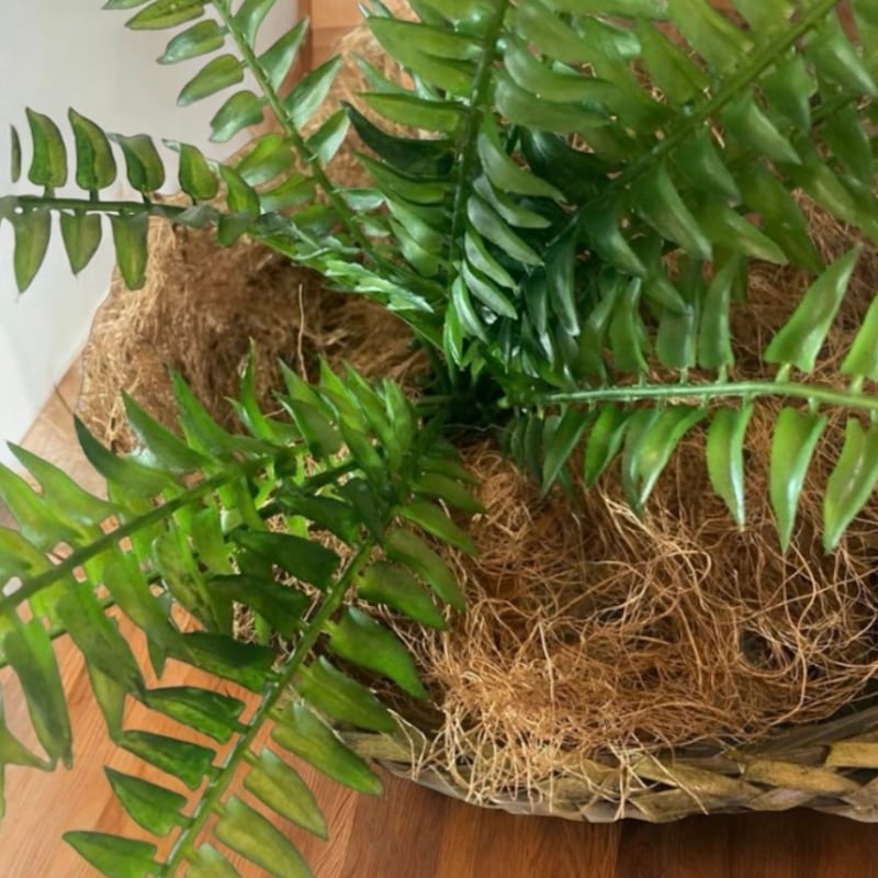 光触媒 人工観葉植物 ウォールグリーン フェイクグリーン コーヒーの木