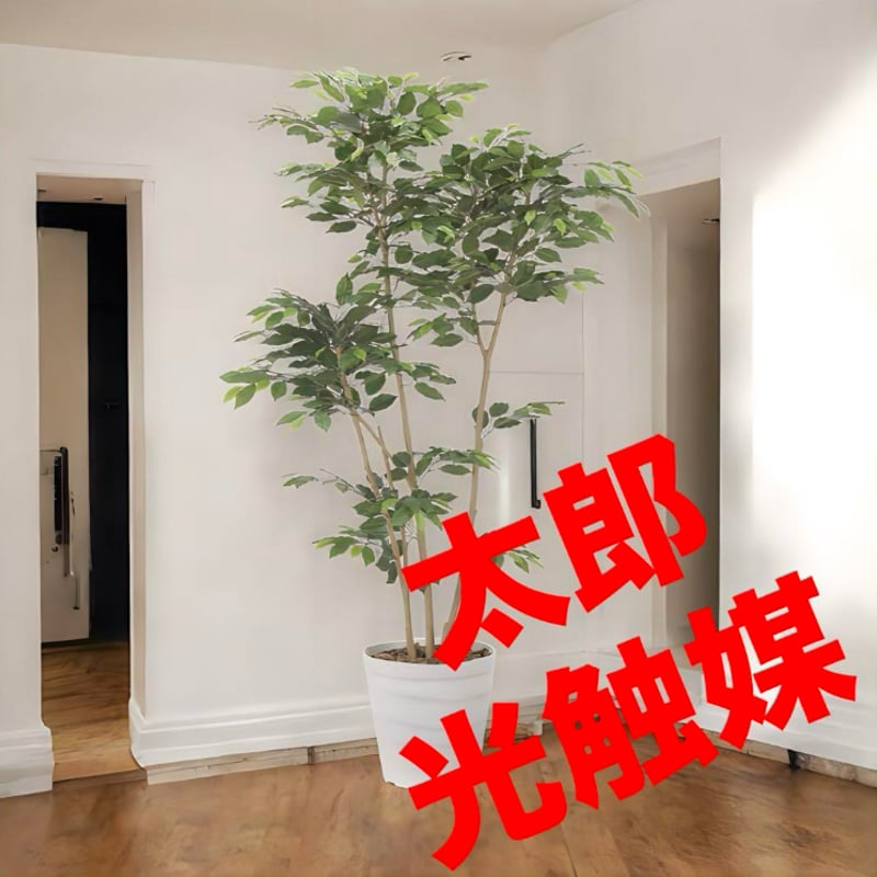 光触媒　人工観葉植物　ウォールグリーン　フェイクグリーン　ベンジャミン1.8d 光触媒 人工観葉植物 ウォールグリーン フェイクグリーン デザイン