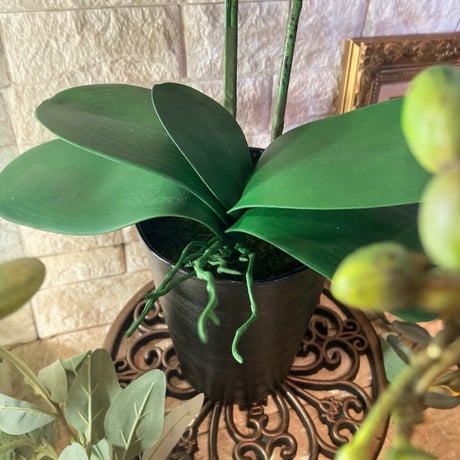 光触媒　人工観葉植物　ウォールグリーン　フェイクグリーン　リアル胡蝶蘭ｂｌ
