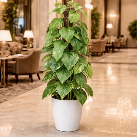 光触媒　人工観葉植物　ウォールグリーン　フェイクグリーン　フレッシュポールポトス