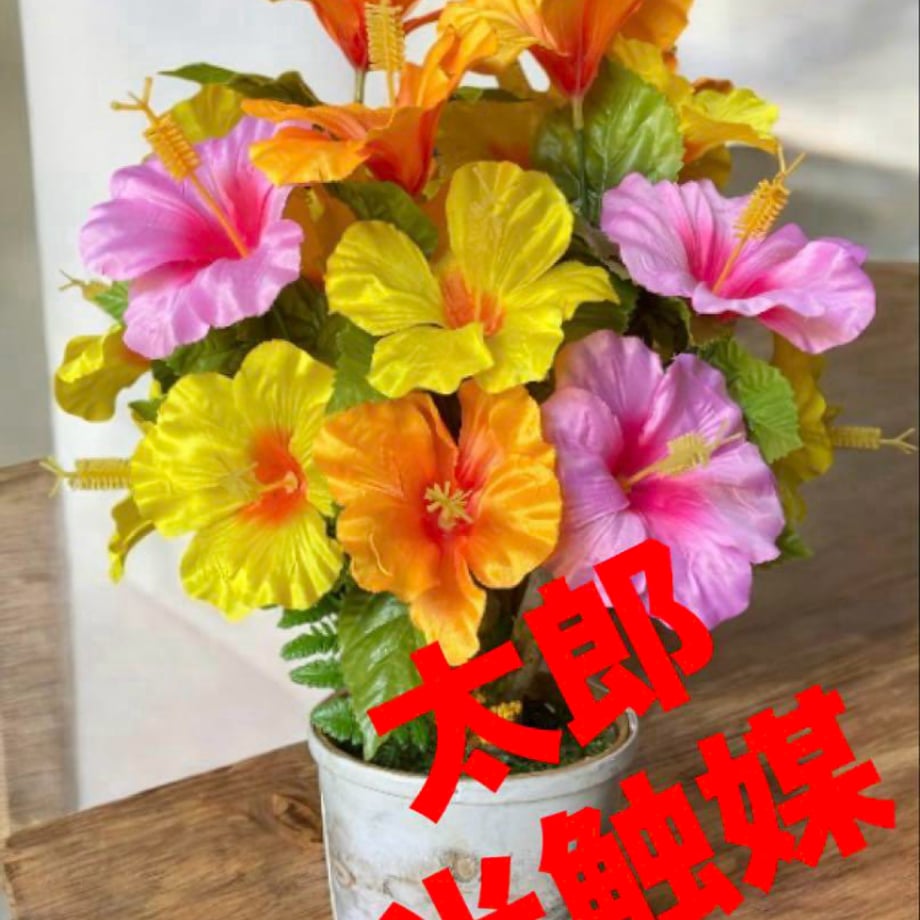 68366a3ff6398e5e90864bc2
