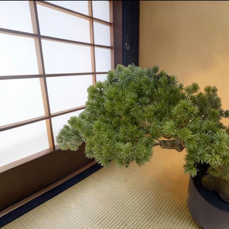 光触媒　人工観葉植物　ウォールグリーン　フェイクグリーン　盆栽8675