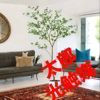 光触媒 人工観葉植物 ウォールグリーン フェイクグリーン フレッシュ