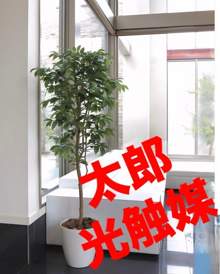 光触媒人工観葉植物ウォールグリーンフェイクグリーンベンジャミン1.6