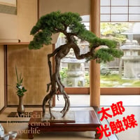 光触媒　人工観葉植物　ウォールグリーン　フェイクグリーン　盆栽105