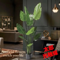 光触媒　人工観葉植物　ウォールグリーン　フェイクグリーン　オーガスタ120@