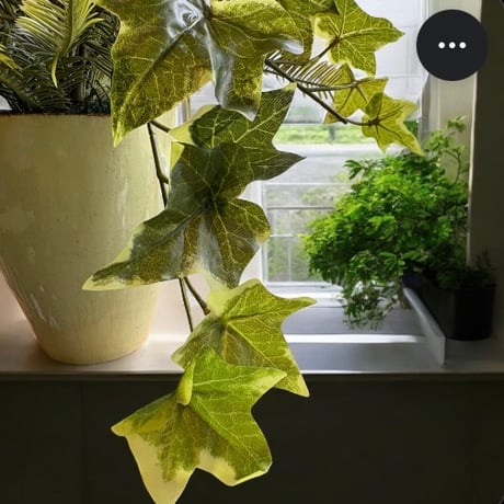 光触媒　人工観葉植物　ウォールグリーン　フェイクグリーン　ポーランドアイビーＡＬ