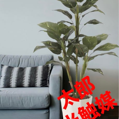 光触媒　人工観葉植物　ウォールグリーン　フェイクグリーン　フィロ90j