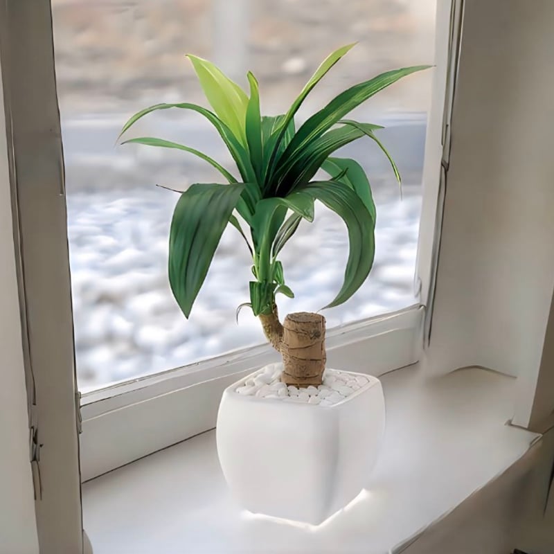 光触媒 人工観葉植物 ウォールグリーン フェイクグリーンルイーズ