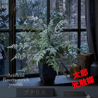 光触媒　人工観葉植物　ウォールグリーン　フェイクグリーン　プテリス