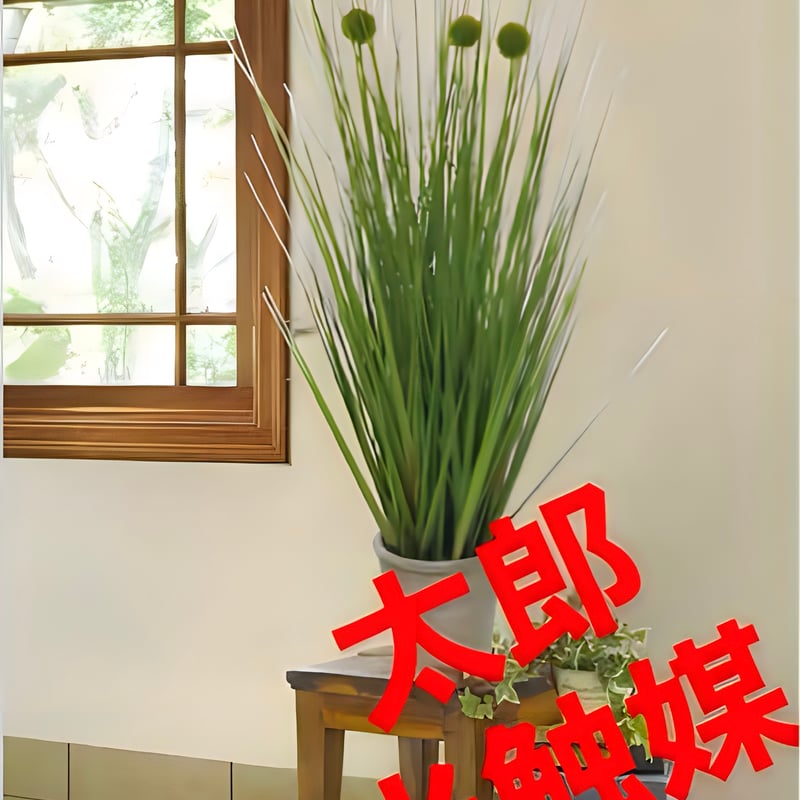 太郎's STORE