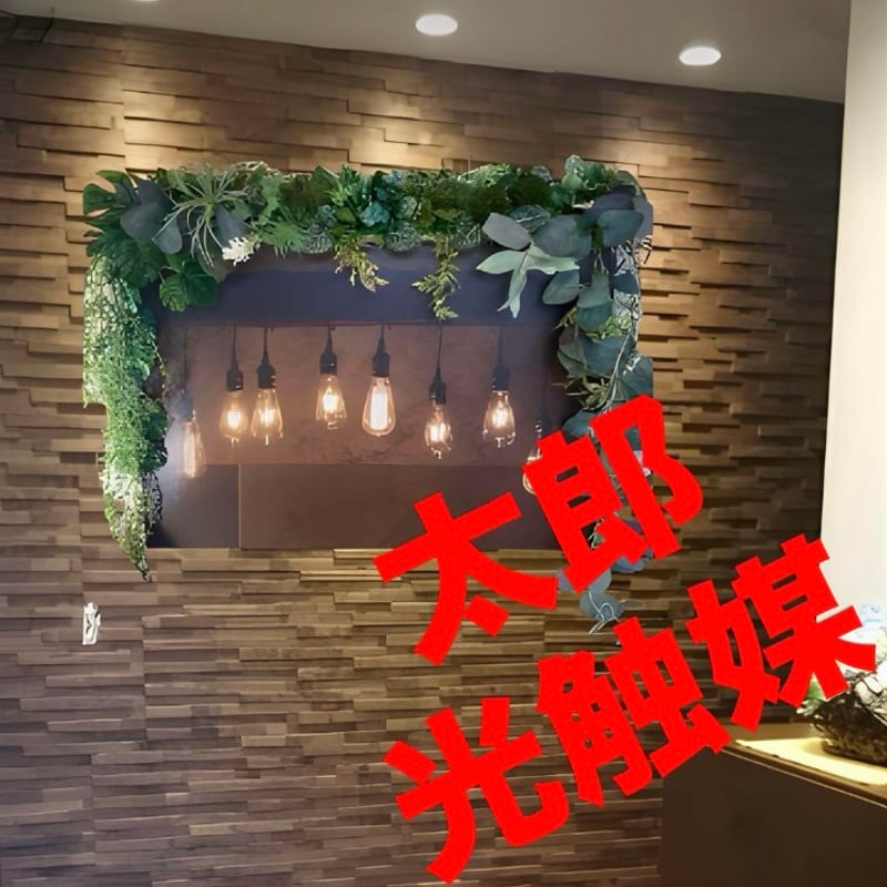 光触媒、人工観葉植物、ウォールグリーン フェイクグリーン
