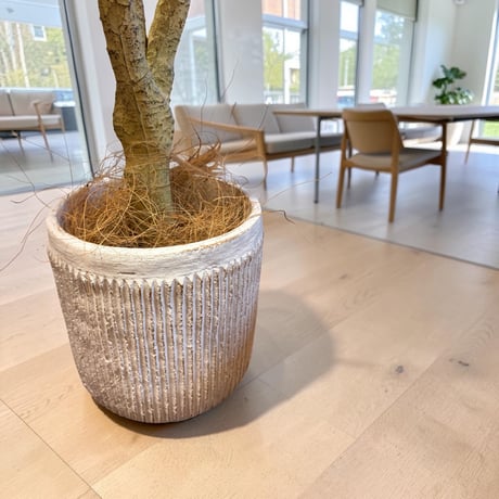 光触媒　人工観葉植物　ウォールグリーン　フェイクグリーン　コンシンネ13065