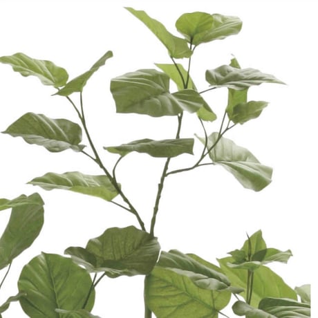 光触媒　観葉植物　ウォールグリーン　フェイクグリーン　ブランチウンベラータ1.6