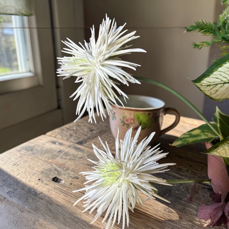 光触媒　人工観葉植物　ウォールグリーン　フェイクグリーン　カラジュームアレンジw