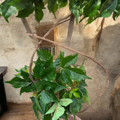 光触媒　人工観葉植物　ウォールグリーン　フェイクグリーン　アイビーポトス１０５U