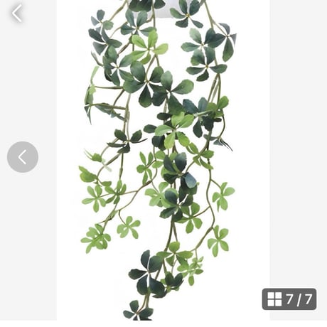 光触媒　人工観葉植物　ウォールグリーン　フェイクグリーン　壁掛けシュガーバイン