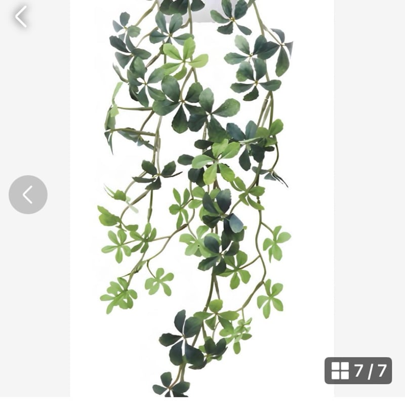 光触媒 人工観葉植物 ウォールグリーン フェイクグリーン 壁掛け 光触媒 人工観葉植物 ウォールグリーン フェイクグリーン 壁掛け
