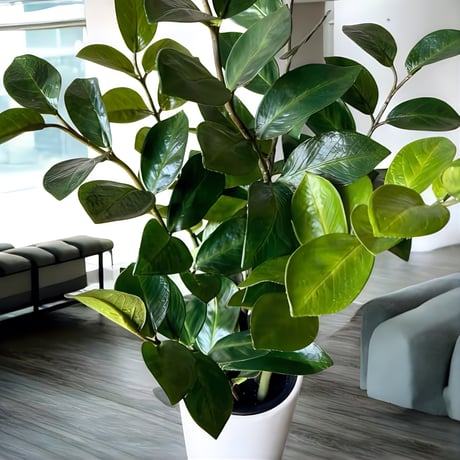 光触媒　人工観葉植物　ウォールグリーン　フェイクグリーン　ザミフォリアH