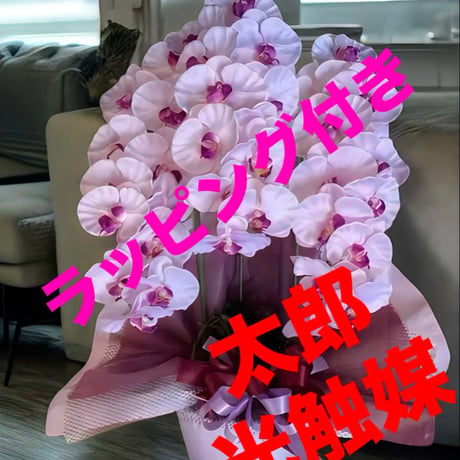 光触媒　人工観葉植物　ウォールグリーン　フェイクグリーン　胡蝶蘭7845